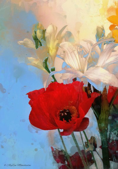 Mohn auf Blau, 2014 von AlyZen Moonshadow